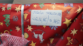 Slika: INDEX ŽELJA RAZVESELIO 207 CARITASOVIH KORISNIKA