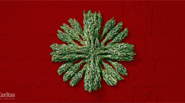 Slika: MASLINOVE GRANČICE NADE: KORIZMENA AKCIJA KOJA POVEZUJE LJUDE I SRCA