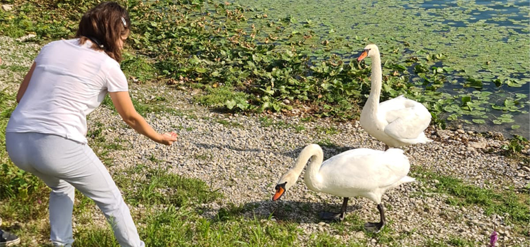 Slika: IZ LJETNE KRONIKE STAMBENE ZAJEDNICE