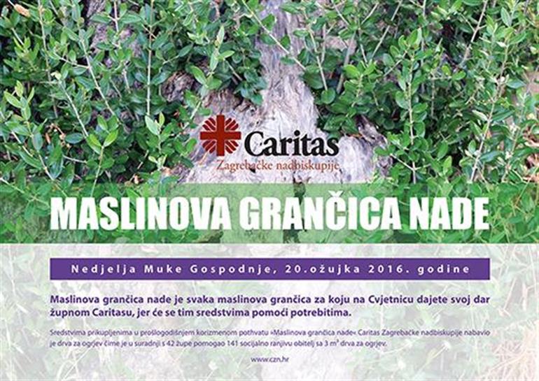 Slika: Maslinova grančica nade – 2016.